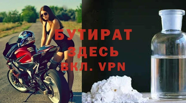 хмурый Аркадак