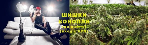 ПСИЛОЦИБИНОВЫЕ ГРИБЫ Алексин