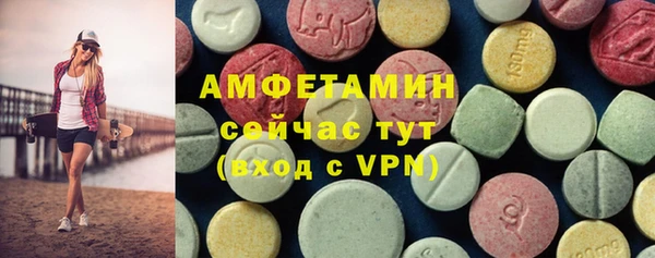 хмурый Аркадак